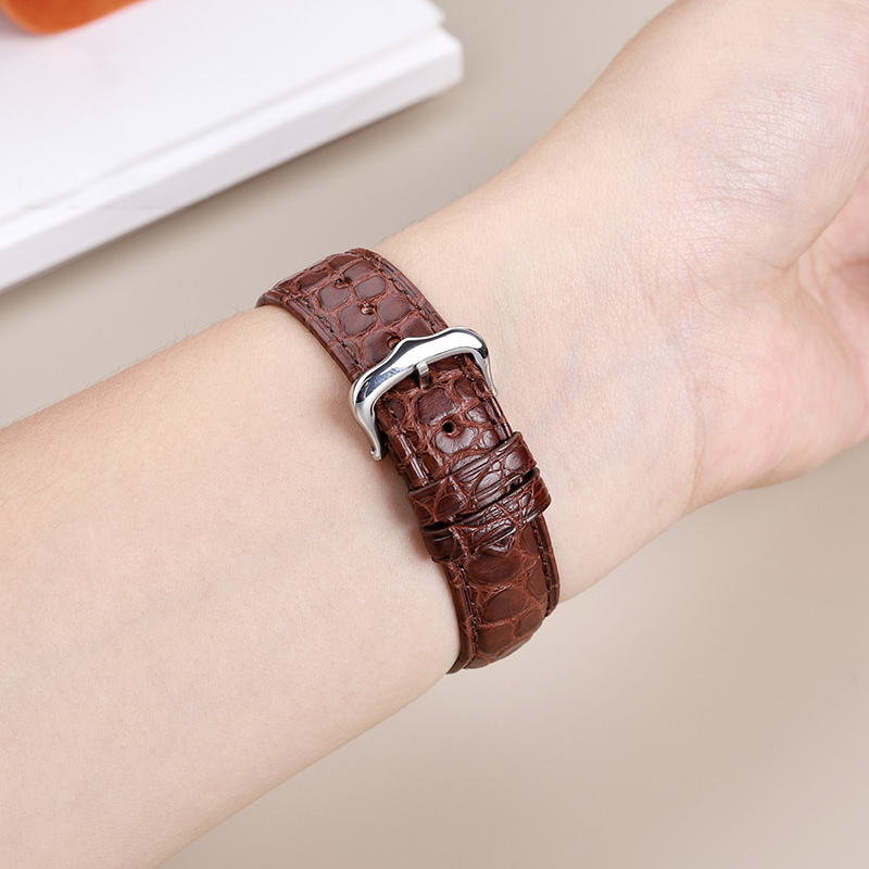 16mm 17 18 19 21 22mm Genuine  - Cartier Watch Santos 评论和价格